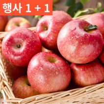 (행사 5kg 2박스) 1+1 경북 청송 영천 프리미엄 명품 특등품 선물용 햇 사과 부사 10키로, 정품 5kg 소(18-22과내외)-2박스