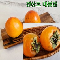 경상도 수확 대봉감 5kg 경북일대 대봉감 자연 후숙 산지직송 감말랭이, 대봉감 5kg 중과 21-22과내외