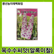 알록이찰옥수수 150립/색과 모양이 예뻐 인기가 높은 옥수수 씨앗