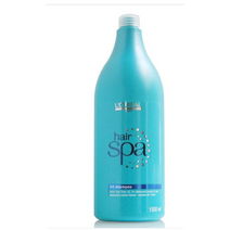 로레알 헤어스파 디엑스 샴푸 두피/각질/피지/비듬샴푸, 1개, 1500ml, 1500ml