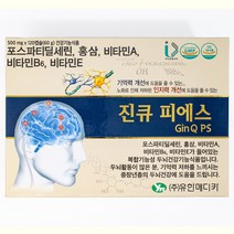 진큐피에스 1개월분 기억력개선 뇌영양제, 1개