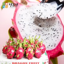 장보남 베트남 생 용과 5kg(8-12과), 1개