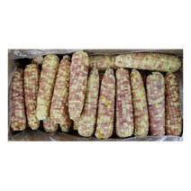 냉동 홍찰옥수수 수입산 13.5kg 냉동옥수수