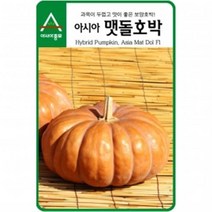 (아시아종묘/호박씨앗) 아시아 맷돌호박 (25립)
