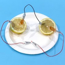 LED 과일전지 1인용 과학실험교구 놀이키트 과학실험키트 과학상자 과학교구 과학키트