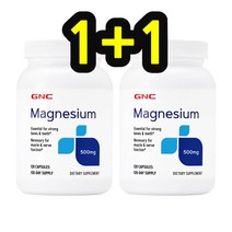 GNC 지앤씨 마그네슘 500mg 120 2set