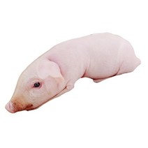 3D 시뮬레이션 귀여운 돼지 박제 동물 인형 장난감 쿠션 룸 장식을위한 작은 플러시 바디 베개 생일, 핑크 70cm, 면