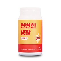 변변한생활 차전자피 분말, 240g, 1개