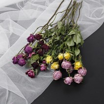 미니 장미 드라이 플라워 (5색) 소이 캔들 석고방향제 인테리어 장식 데코, 레드
