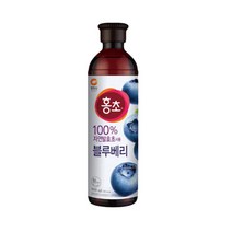 청정원 홍초 블루베리 900ml, 상세페이지 참조, 상세페이지 참조, 상세페이지 참조