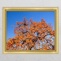 cl429-돈복을불러주는감나무3_창문그림액자, C타입엘레강스골드