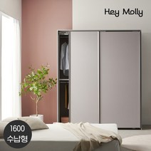 헤이몰리 페리 슬라이딩 옷장 1600 수납형, A형_라이트그레이