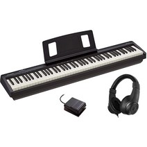 로랜드 Roland 전자피아노 88키 FP-10 전자키보드 풀세트 일본내수용 정품, 헤드폰세트