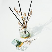 디스이즈 명화 디퓨저 120ml, 블랙머스크
