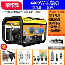 발전기 캠핑 가솔린 산업용 레저 휴대용 캠핑 수동 카라반 이동식 소형, 3. 4000W 수동+휘발유 220V