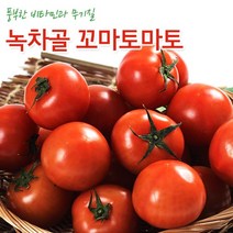 (인빌푸드)탱글탱글 꼬마 완숙토마토 5kg, 단품