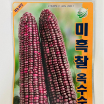 찰옥수수종자(미흑찰) 강원도옥수수 / 정품 종자 / 약 3 500립