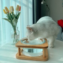 강아지 고양이 수반 음수대 밥그릇 물그릇 정수기 강화 유리 식기 식탁, 유리그릇대(원목X)