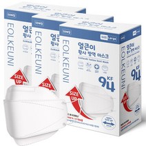 삼흥얼큰이황사방역마스크(KF94) 삼흥더얼큰이황사방역마스크(KF94)(대형), 화이트, 3개, 50매입