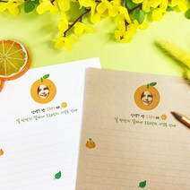 오렌지 포토 제작편지지 (주문제작) / 곰신 군인 편지지, 봉투10장, 크라프트