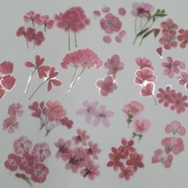 압화 책갈피 만들기 diy 꽃 투명