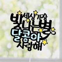 아임다움 태명토퍼 만삭촬영 아기기념일 백일 생일 돌 파티픽