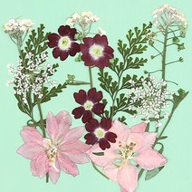 압화종합팩 누름꽃1 약13개 B-03-001