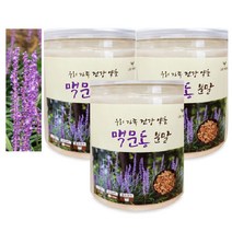 국내산 맥문동차 가루 효능 맥문동 뿌리 분말 먹는법 200g 3통, 3개