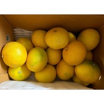 고당도 황금향 제주황금향 계절과일, 1개, 2kg(소과11-16과)