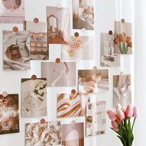 사진 촬영 소품 인테리어 감성 엽서 (50장), 그린(50장)