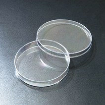 SPL 페트리디쉬 60x15mm 500EA