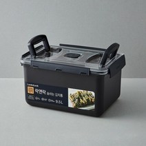락앤락 특허받은 숨밸브 김치통 9.5L (HPL874BDG), 선택완료, 단품없음