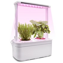틔운미니 미니 비닐하우스 식물 수경 재배기 집에서키우기쉬운식물 가정용스마트팜 LED, 화이트