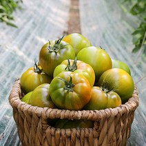 [산지직송] 부산 대저동 대저토마토 2.5kg (대과 2L~L), 단품