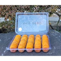 지리산 산청 고종시 가정용 곶감 실속형 먹거리 도시락형 소(50개입) 1kg 1.5kg, 실속형 먹거리 곶감 도시락형 소(50개입)