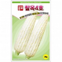 아시아종묘 옥수수씨앗 찰옥4호 (700g), 1개