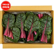 대전특수야채시소판매 싸게파는 인기 상품 중 가성비 좋은 제품 추천