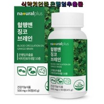 내츄럴플러스 혈행앤 징코 브레인 90정 식약처인증 은행잎추출 비타민 미네랄 10종 기억력 당귀추출 무첨가