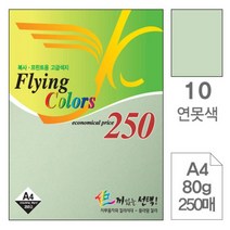 [RA㏓] 삼원 플라잉 칼라 A4 10 연못색 80g 250매 사무용지 미술지 고급면지 색지 용종이 초청장 디자인이 초대장 인쇄 ▷_§Ea, 《본상품》, 옵션무[#@$]