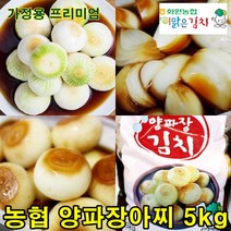 해남 농협 양파장김치 5kg 맛있는 양파장아찌 이맑은김치