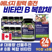 캐나다 직수입 공복 속편한 고농축 비타민 비군 콤플렉스 수용성 B1 B2 원데이 비타민제 80대 노인 어르신 활력 기력 보충제 비타민비 COMPLEX B12 복합체 맞춤 영양제