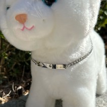 써지컬 스틸 강아지 고양이 슬림바 목걸이 볼드 커브체인 인식표 이름표 네임택 반려동물 애완견, 5.6mm, 민자슬림바, 폰트2번