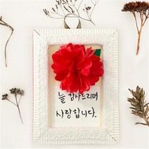 MP09 카네이션 우드락액자 10개입 만들기 꾸미기