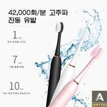 ANYOU 전동 칫솔 + 4개의 브러쉬 고급 전동칫솔 스마트 충전 전동칫솔 치과주치의 추천, 블랙