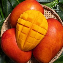 웰굿 [웰굿] 제주 산지직송 고당도 애플망고 3kg(9-10과상과), 1
