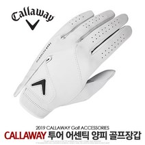 한국캘러웨이 정품/ (19)투어 어센틱 양피장갑, 화이트