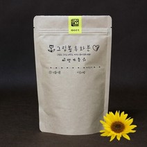 셀러허브_리빙 그림봉투화분 해바라기_Nex, 기본, 선택완료
