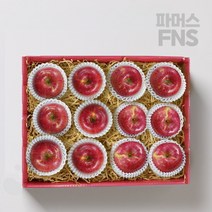 파머스FNS 무주 반딧불 사과 알뜰선물세트 11과 3kg 가성비갑, 없음