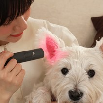 제디 펫큐어라이트 강아지 고양이 염증치료기 귀염증 외이염 중이염 귀관리기 발염증 예방
