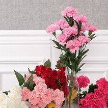 위칭카네이션부쉬A 50cm 조화 인테리어 소품 FAIAFT, 레드